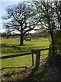 Stile near Coleman