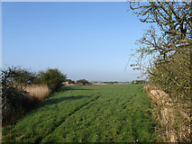 TQ6407 : Lower Church Acre Drove Marsh by Simon Carey