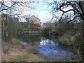 Smithston Quarry, Cumbernauld