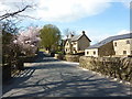 Road through Cockden