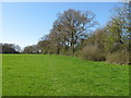 Pasture near Bledlow Ridge