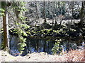 River Garry at Invergarry