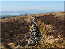 NS3679 : Dry-stone wall by Lairich Rig