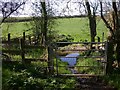 SP2744 : Ford and horse gate on bridleway, Wagtail Brook by David P Howard