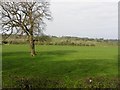 Nutfield Townland