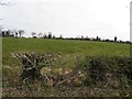 Coalhill Townland