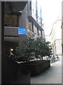 Small trees outside One Angel Court