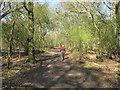 SP7600 : Access land in woodland area by David Hawgood