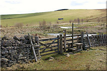 NT5549 : Gate and stile, Southern Upland Way by Jim Barton