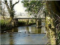 SS3516 : Kismeldon Bridge as seen from downstream by Roger A Smith