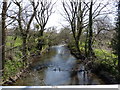 The view downstream from Kismeldon Bridge