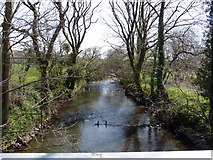 SS3516 : The view downstream from Kismeldon Bridge by Roger A Smith