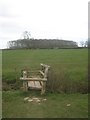 Public footpath, Radbourne Common, Derbyshire