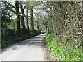 Cyclists on Perrymans Lane