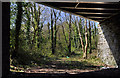 Below a bridge - Coryton