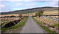 NX5253 : Road from Barholm towards Claughreid Farm, Galloway by Anthony O'Neil