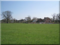 Houses along Oldwich Lane West