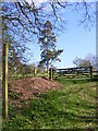 Footpath to Bruisyard Road