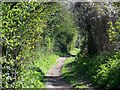 Bridleway near Monxton