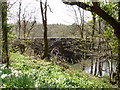 New Bridge on the river Torridge as seen from downstream