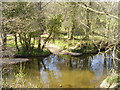 Ford over the River Otter