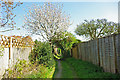 Spring in the back alley, Kingston near Lewes