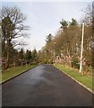 Avenue, Eastfield Cemetery