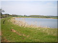 Irrigation lake south of Offoxey Farm