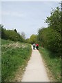 Shrewsbury Canal