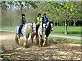 TQ2679 : Horseriding in Hyde Park, London by Christine Matthews