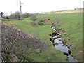 Unnamed Burn near Denton Mains