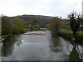 The view downstream from Taddiport Bridge on the River Torridge