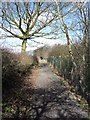 Ringway footpath