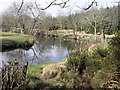 The Ballinderry river at Wellbrook Beetling Mill,Cookstown