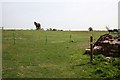 Electric fence over a public bridleway