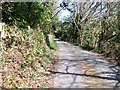 Road through wooded valley between Ymwlch-isaf and Ymwlch Fawr