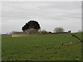 Donaghrisk Old Graveyard