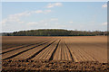 Ploughed field at Livermere Heath