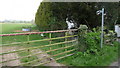 Footpath across the fields.