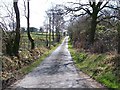 View south along the Ynys-ddu road