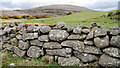 The Windy Gap Pad near Dromara (17)