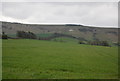 Winter wheat near Firle