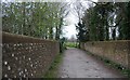 Flint walled lined lane, Firle