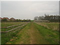 Footpath through Mead Meadow