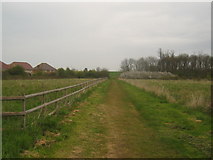 TR1466 : Footpath through Mead Meadow by David Anstiss