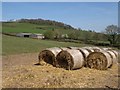 Bales, Cadeleigh Court Lane