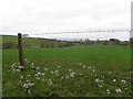 Camowen Townland