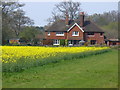 Cottage on Alfold Road