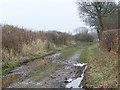 SD1094 : Track near Waberthwaite by Maigheach-gheal
