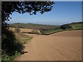 Tilled field above Holwell